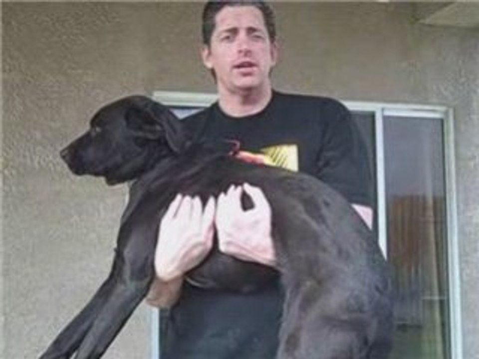 MarketingSherpa Email Summit 2009 Discount