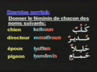 Apprendre Langue arabe en 19 partie 10sur19
