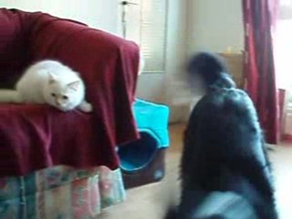 Dounia fait la folle
