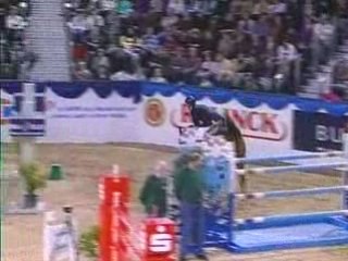 Concours National Münster (Allemagne), S*** Tahorna et David