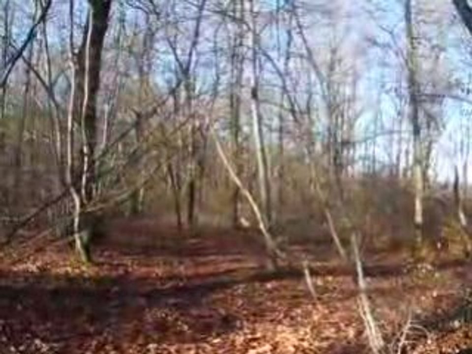 DSCF0083