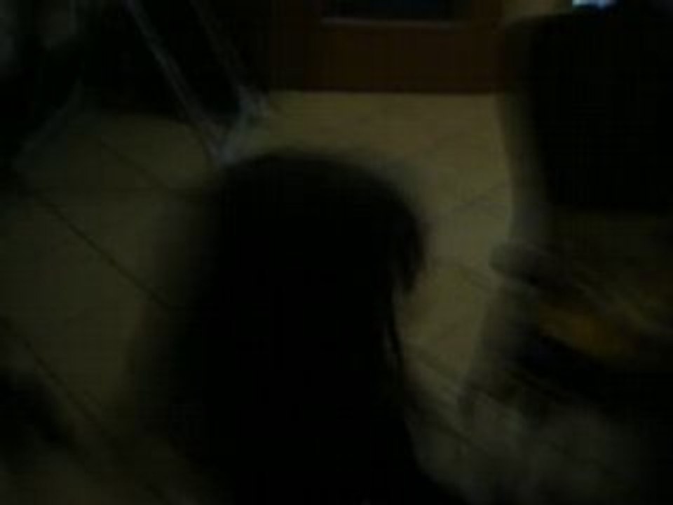 FIORA, LA P'TITE FOFOLLE....