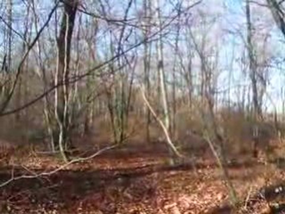 DSCF0084