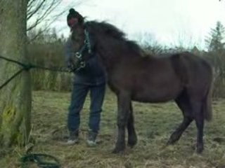 ulrika 18 janvier 6
