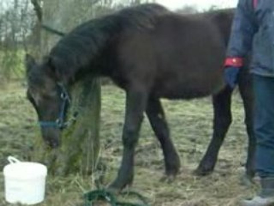 ulrika 18 janvier 8