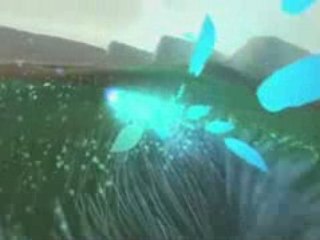 Un peu de poésie sur PS3 avec Flower