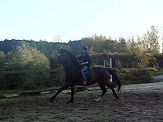saut marie