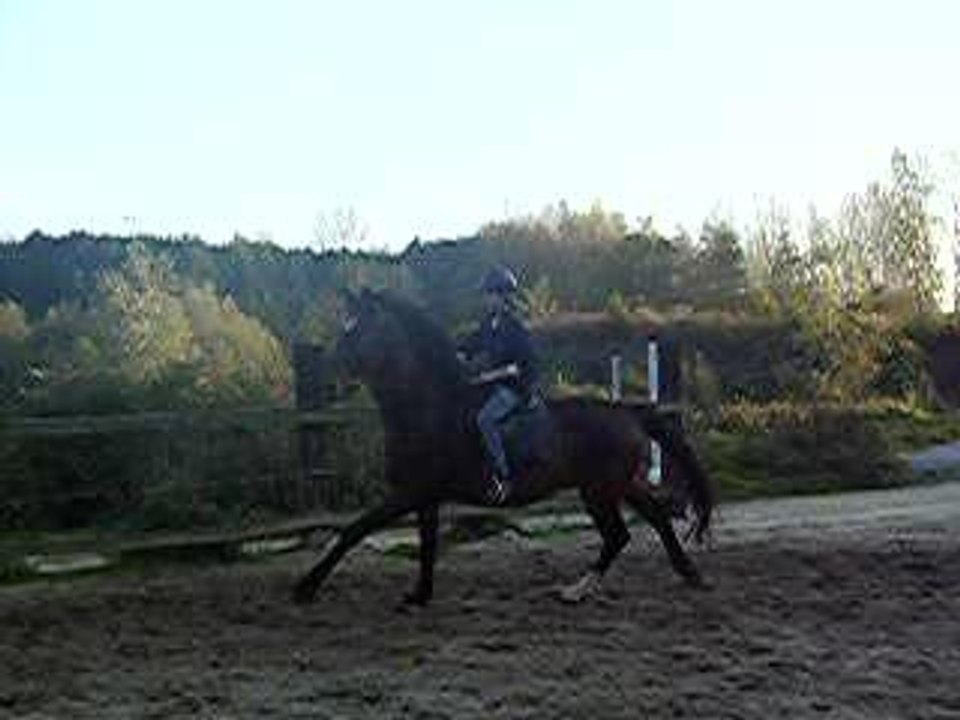saut marie