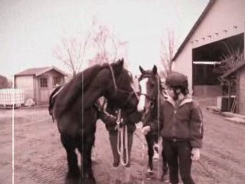 Premiere rencontre entre flipp et quart