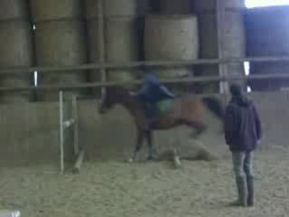 moii é josco ( le chevàl ) =)