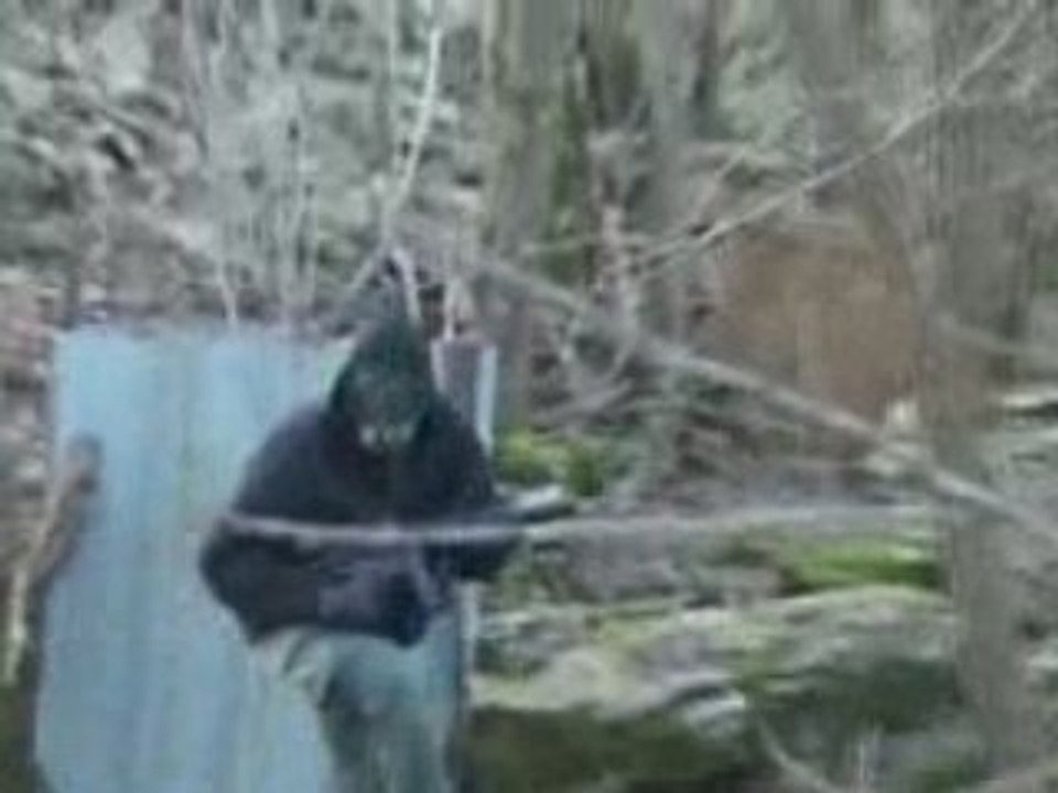 BsA  Airsoft Bois zero 9