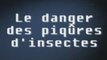 Clip d'information easyPOP Le danger des piqûres d'insectes