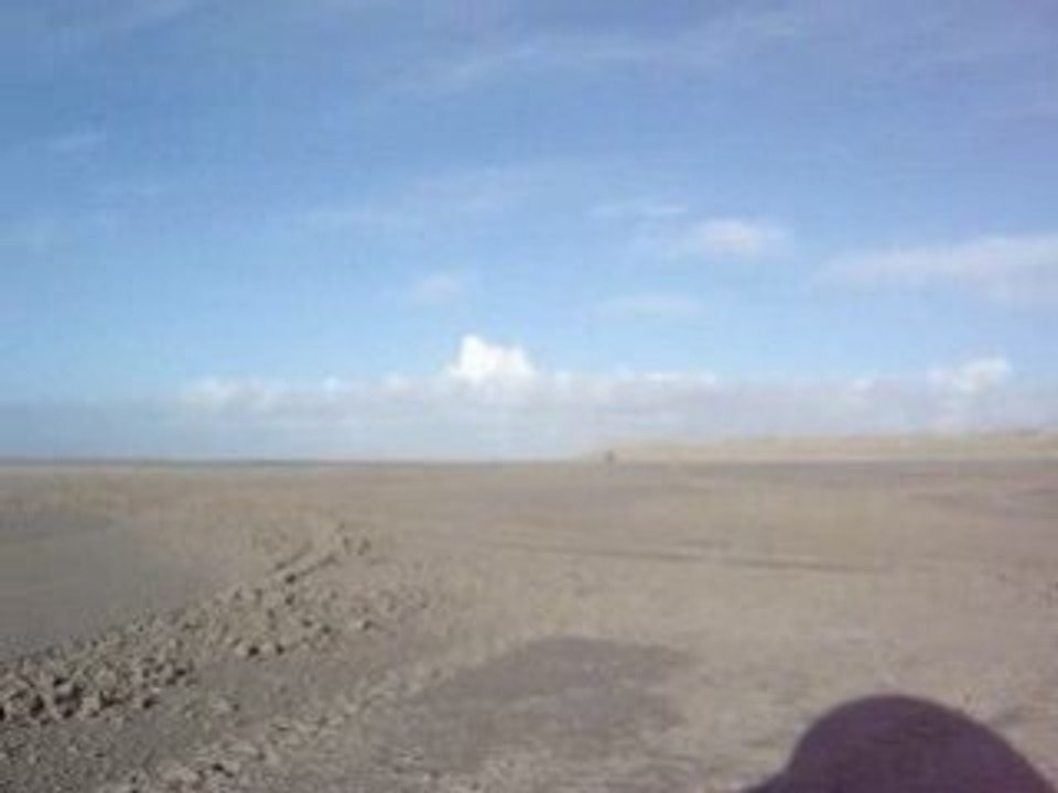 MOV00282