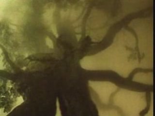 Ежик в тумане - InTV