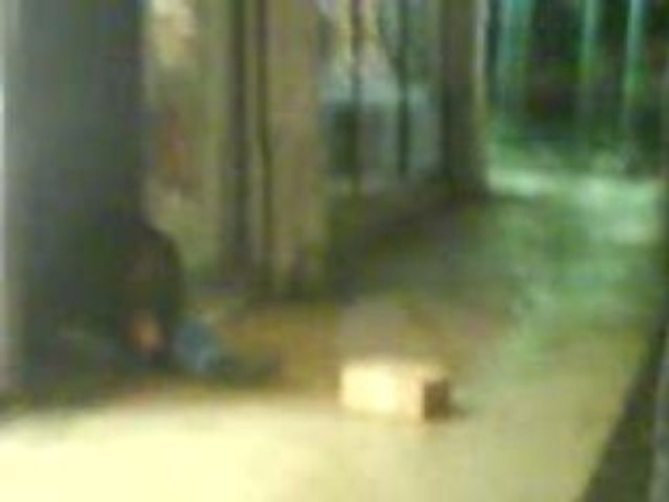 Headshot (ou presque)