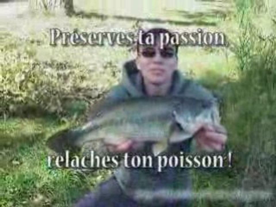 Compilation pêche aux leurres 2007/2008