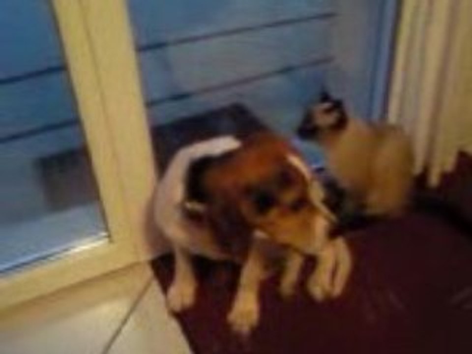 Vidéo0026