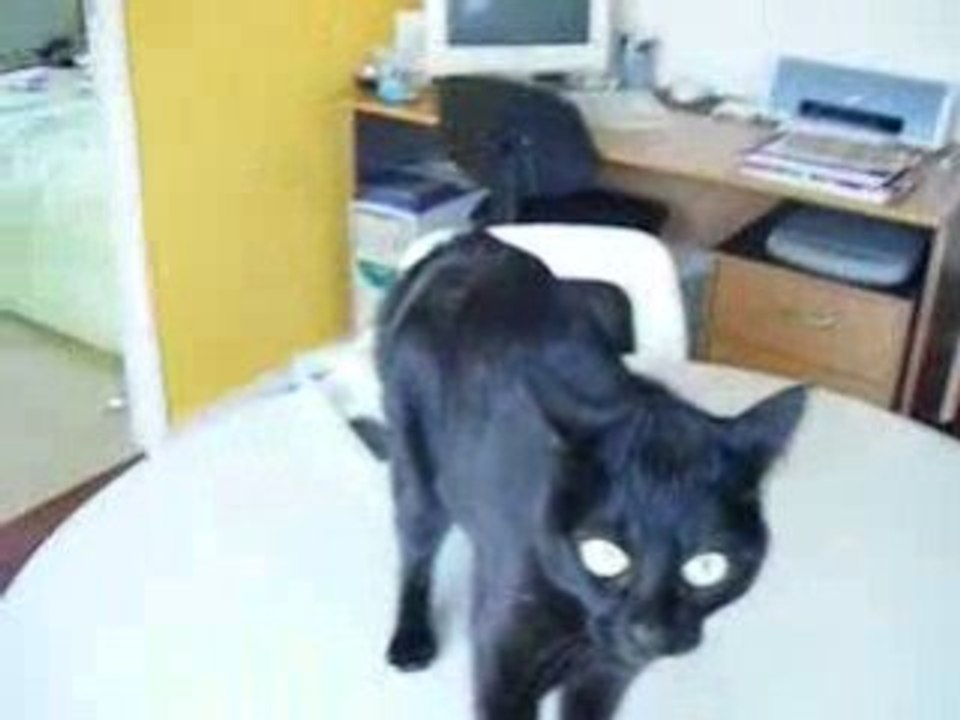 Toupie en mode punk