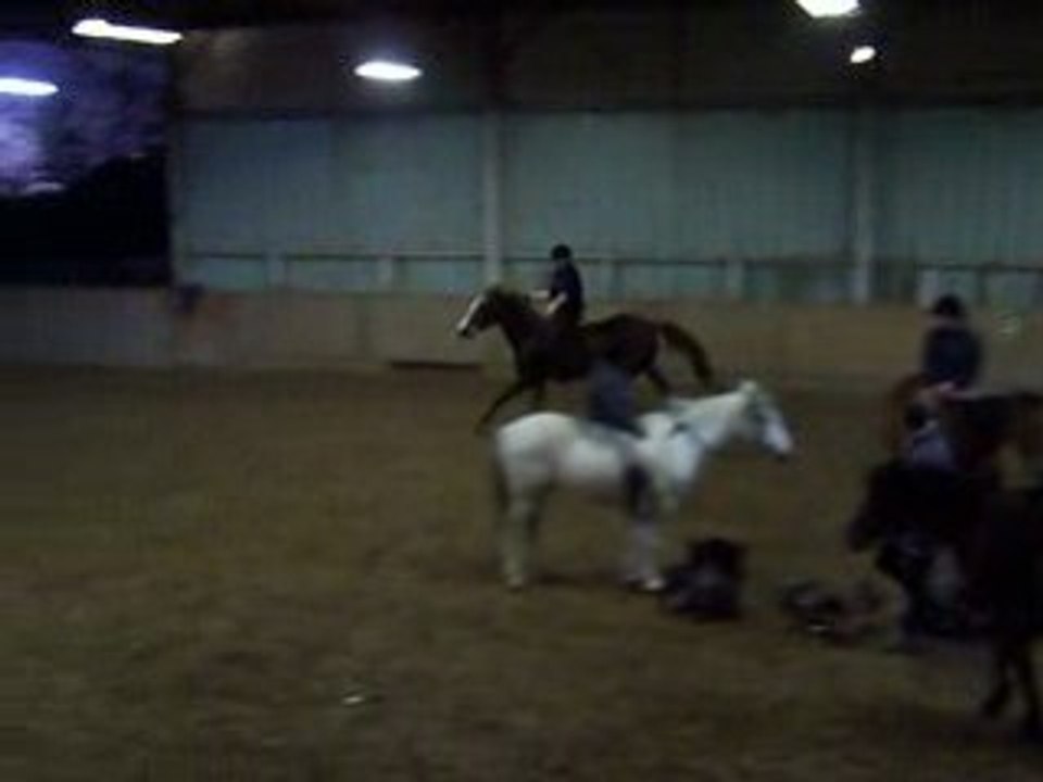 bibou et isis galop a cru