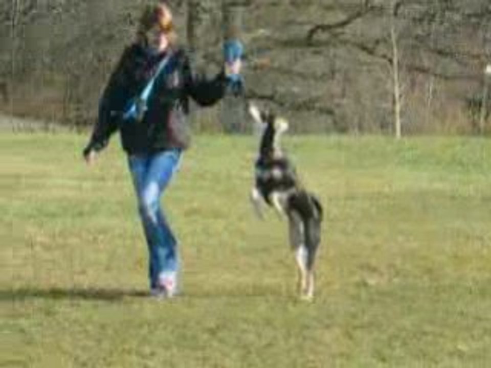 Roxy
