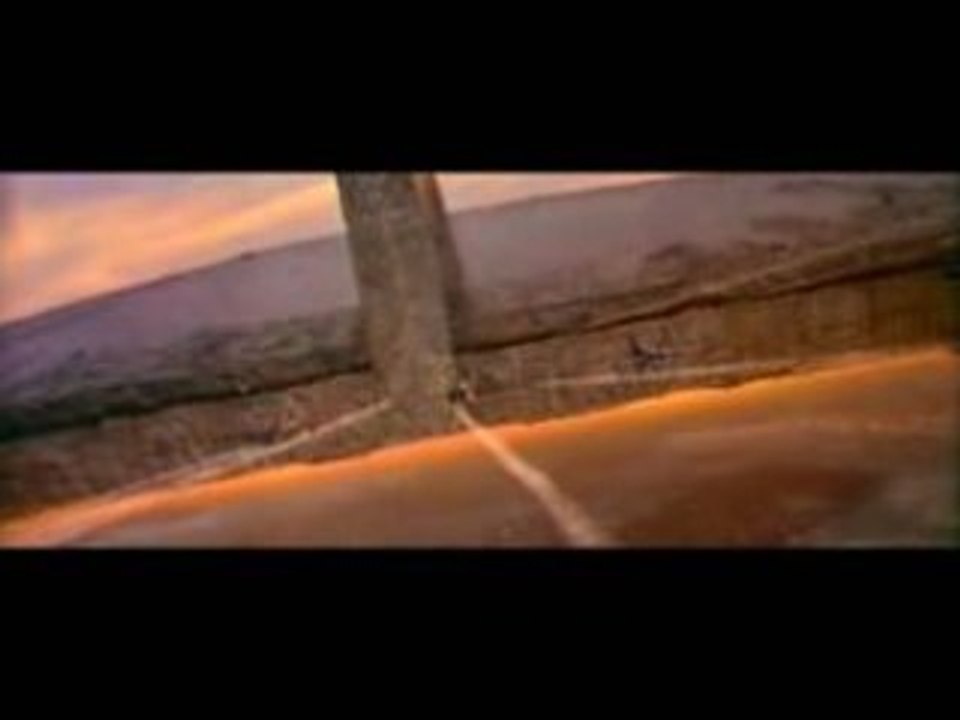 Warp Brothers - We Will Survive