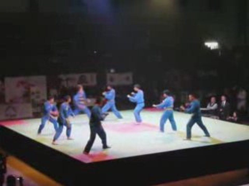 Salon des arts martiaux 2008