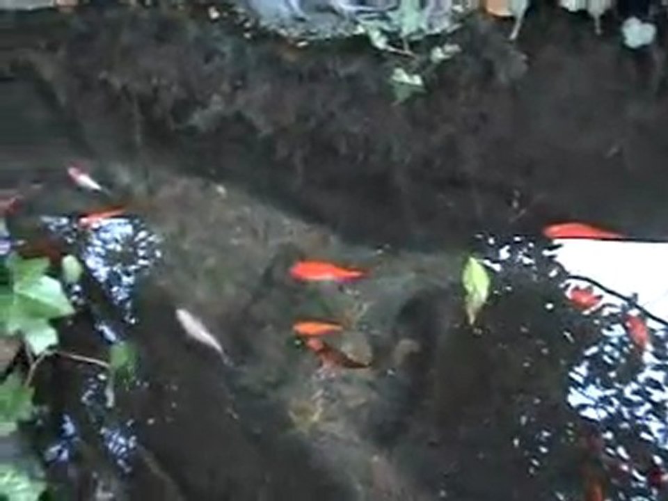 CARICATURE 3 de  LeLibrePenseur du MDI  NAZI par zinzinoo7