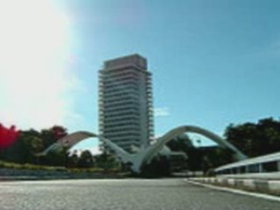 bet tell bay high tea's feat species cruzing