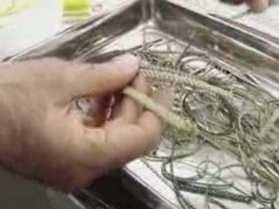 Designer Series - Samuel Jewels