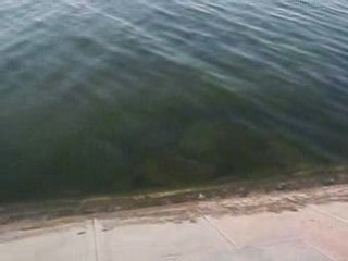 couché de soleil campeche