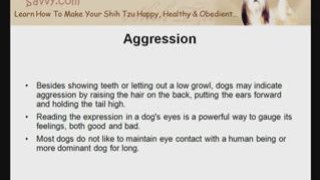 Shih Tzu Training: Your Dog's Natural Instincts