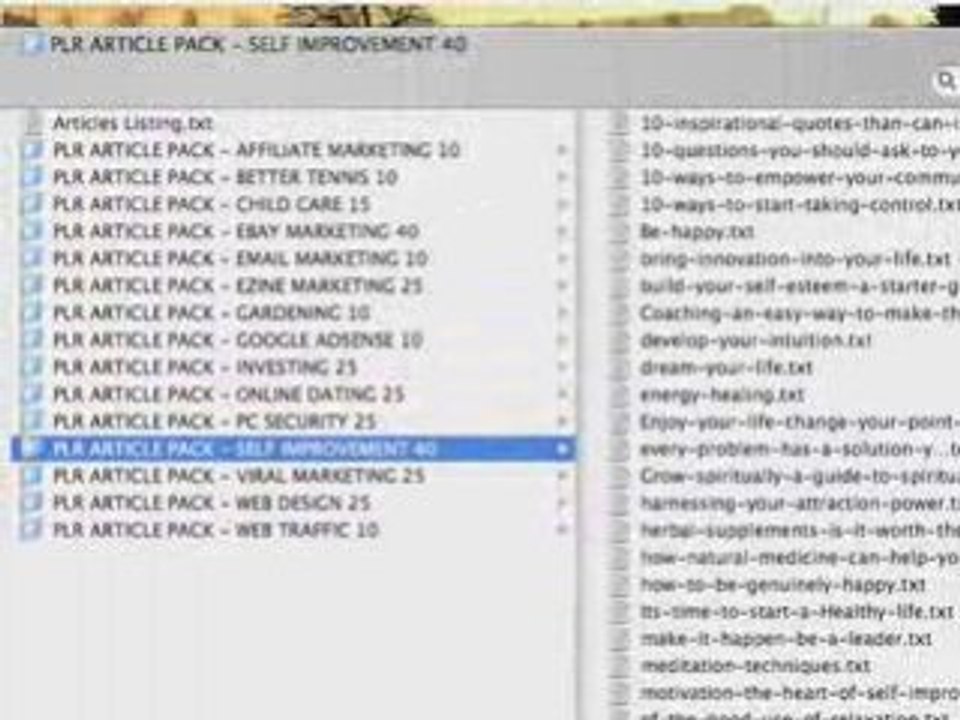Making A Website Easily Using PLR Articles