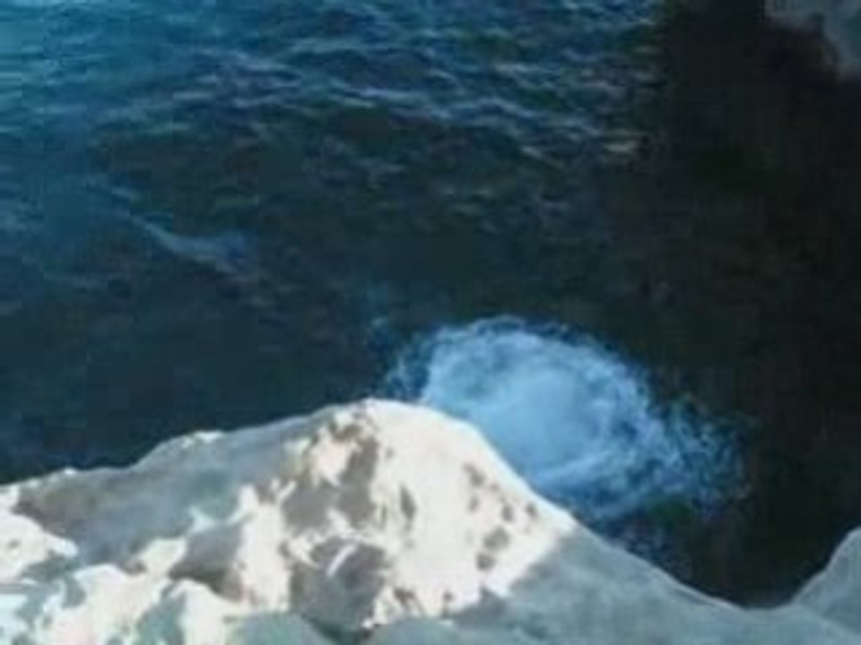 Pti montage 2