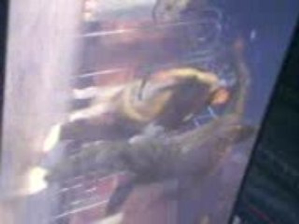 Concert Chris Brown - Marseille