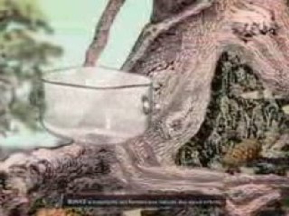 Le saladier en verre IKEA PS 2009 BUNKE et les verres