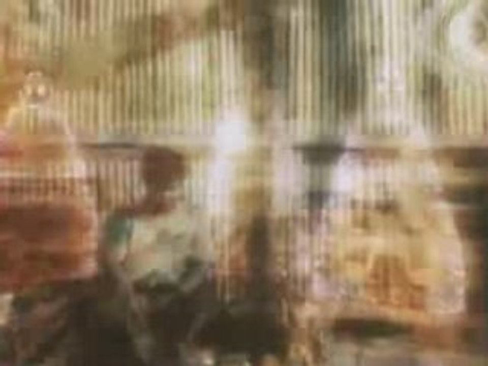 voyage shamanique - ayahuasca