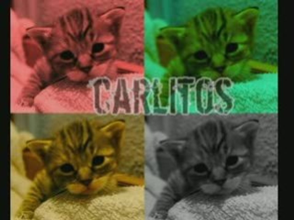 CARLITOS