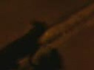 Amstaff Cyno Zita Roller-pulling