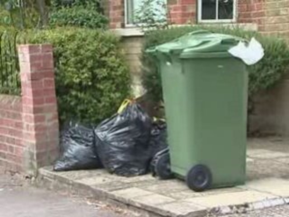 Waste trial dumped by councils