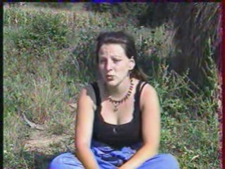 Limousin sandra