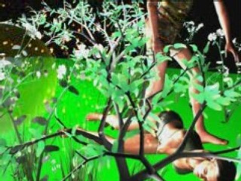 Motion Builder Maya Particle Illusion Jan 21