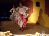 Andalousie 2oo8 . Spectacle de Flamenco à Carmona