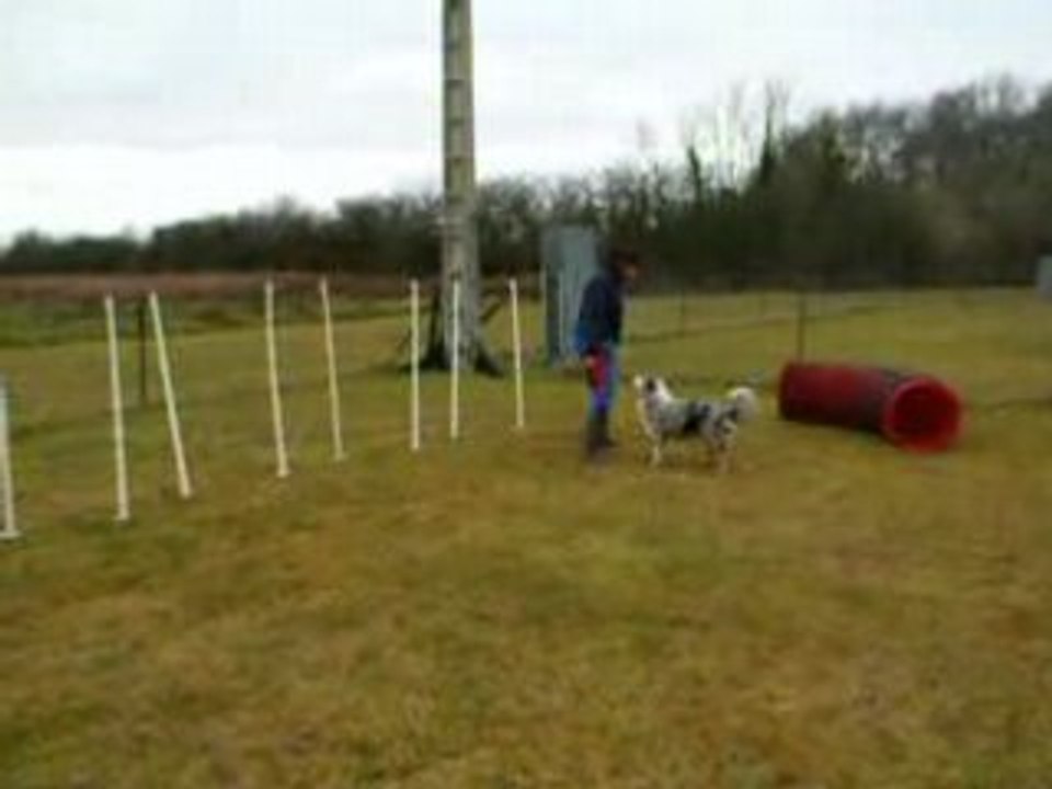 Coco slalom et obstacles 2