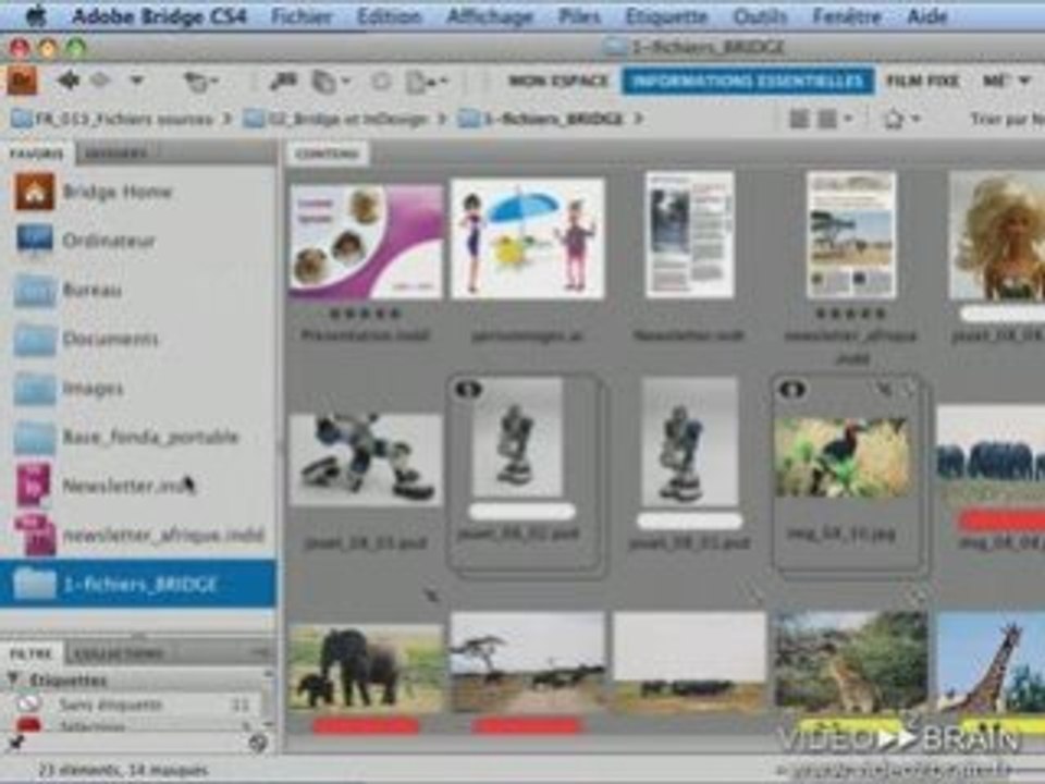 Adobe InDesign CS4 : Favoris et menu contextuel