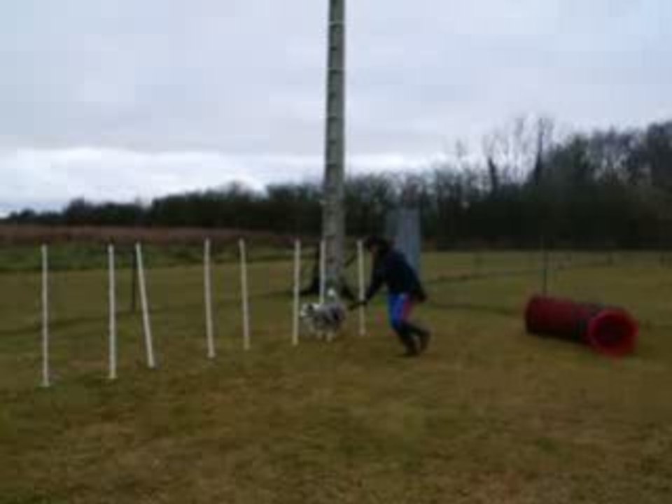 Coco slalom et obstacles 3