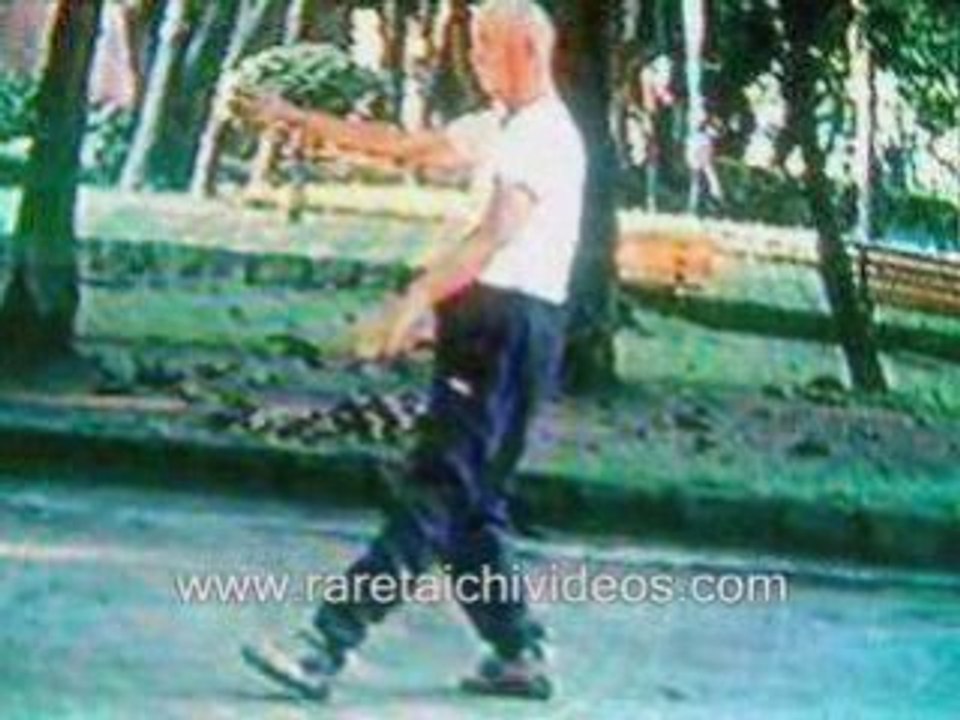 Tai-Chi-Chuan-Taiwan-Yang-Style-Taijiquan