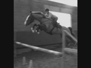 Oriental et moi (mercredi 21 janvier 2009)