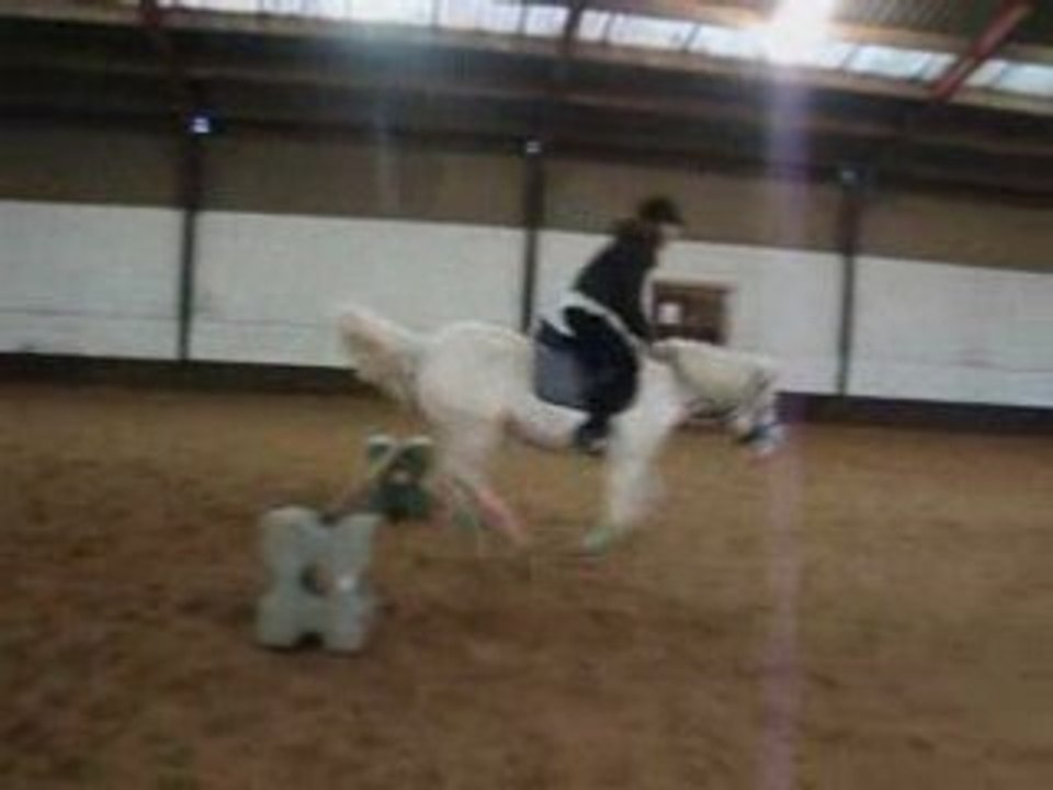 Obstacle avec Siboulette