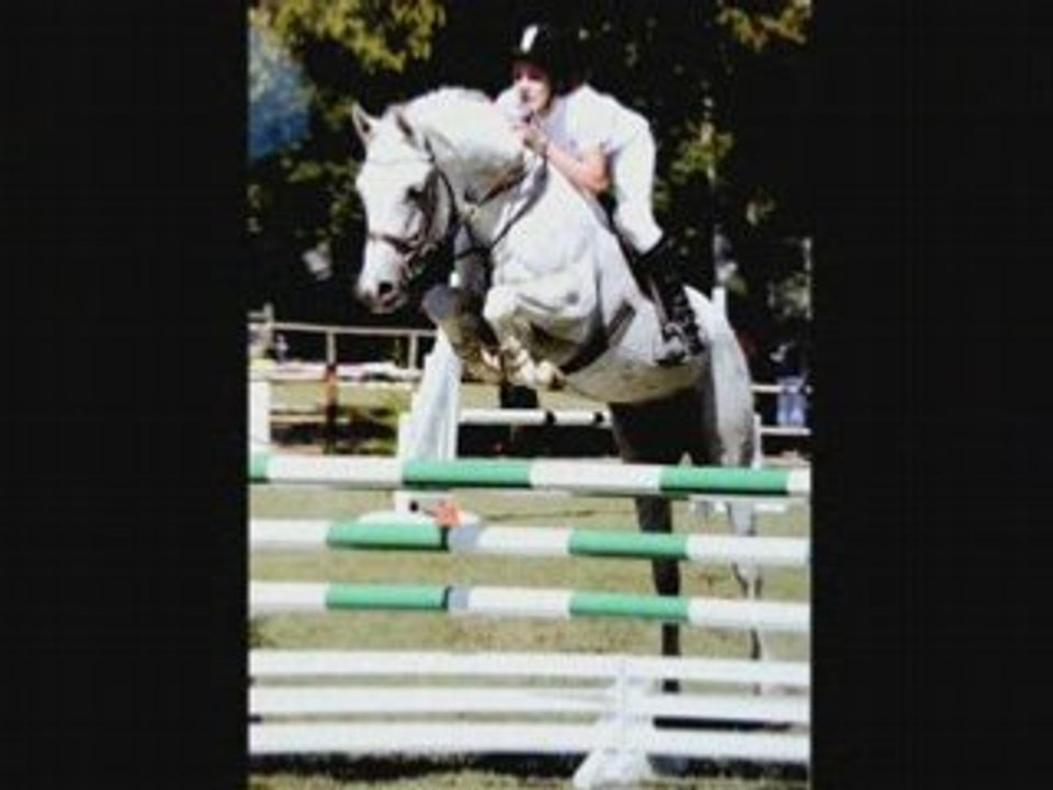 Année 2008 souvenirs