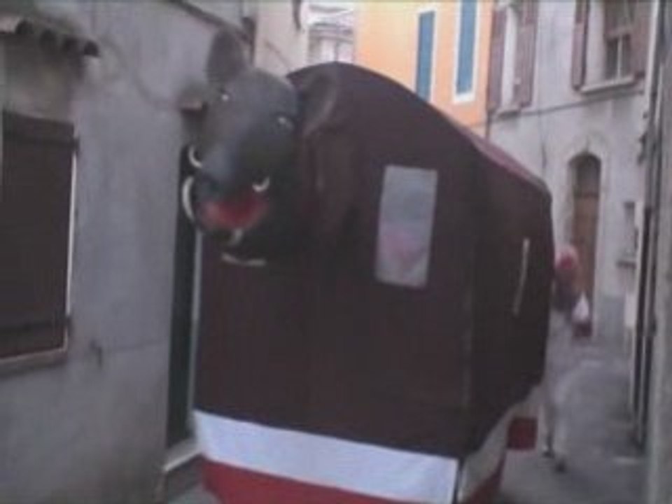 Carnaval du sanglier - Varages 2006